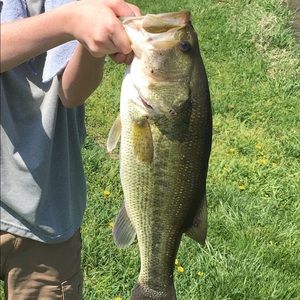 Meet your Posher, Matt